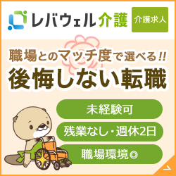 レバウェル介護