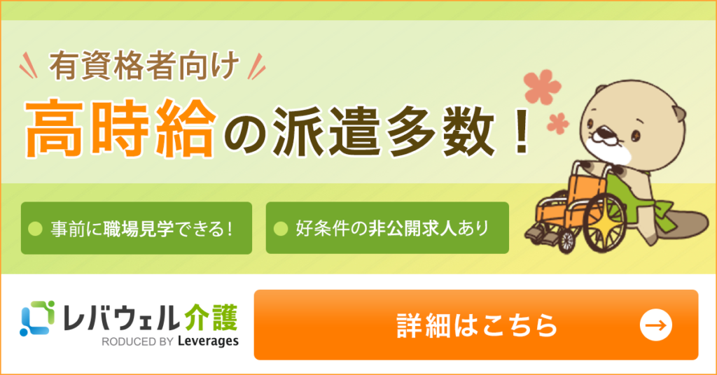 レバウェル介護